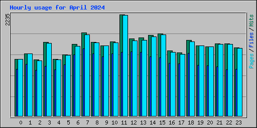 Hourly usage for April 2024