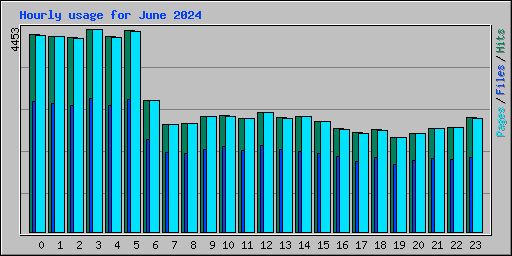 Hourly usage for June 2024