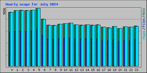 Hourly usage for July 2024