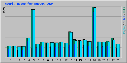 Hourly usage for August 2024