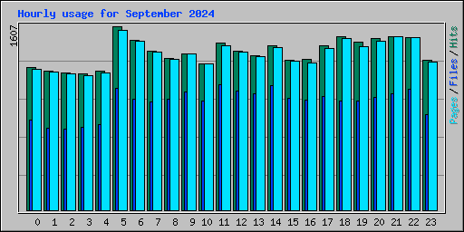 Hourly usage for September 2024