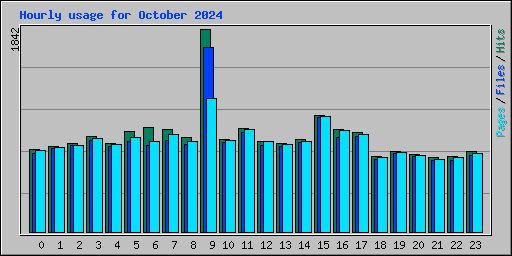 Hourly usage for October 2024