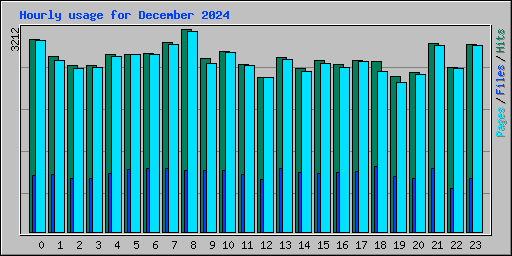 Hourly usage for December 2024