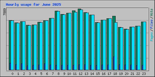 Hourly usage for June 2025