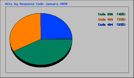 Hits by Response Code January 2020