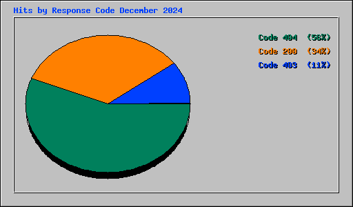 Hits by Response Code December 2024