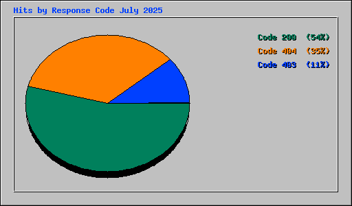 Hits by Response Code July 2025